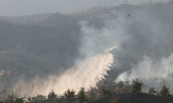 Kahramanmaraş'taki yangın saatlerce söndürülemedi