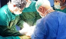 Danıştay'dan sahte raporlu organ nakil ameliyatları hakkında karar