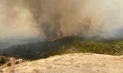 Çanakkale’de orman yangını: 1 köy boşaltıldı