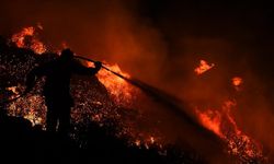 Orman yangınında 18 kişinin cesedi bulundu