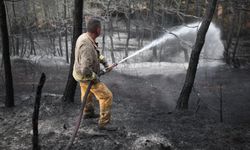 17 saat sürdü: Orman yangını kontrol altına alındı
