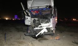 Yolcu indiren araca kamyon çarptı: Ölü ve yaralılar var!