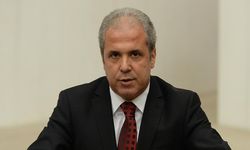 Şamil Tayyar: Bu hizip AK Parti'yi için için çürütüyor