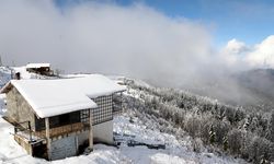 Rize'nin yüksek kesimlerinde kar yağışı etkili oldu