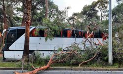 Fırtına otobüsün üstüne ağaç devirdi: Çok sayıda yaralı!