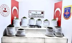 Diyarbakır’da 454 kilo esrar ele geçirildi: 3 gözaltı