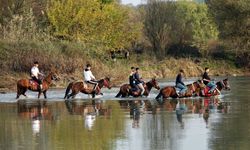 Diyarbakır'lı gençlerin atlara ilgisi artıyor