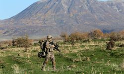 12 PKK'lı terörist etkisiz hale getirildi