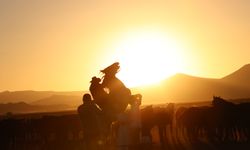 Erciyes eteklerindeki yılkı atları fotoğraf tutkunlarının gözdesi oldu