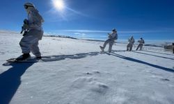 2 PKK'lı terörist etkisiz hale getirildi!