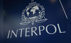 Interpol'den yeni suçlar konusunda uyarı!
