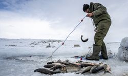 Kars'ta buzla kaplı gölde 'Eskimo usulü' balık avı