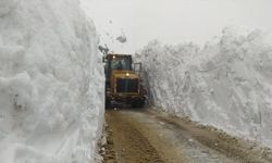 Kar nedeniyle kapanan yollar böyle açılıyor!