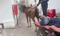 Gazze'de at arabaları ambulans hizmeti veriyor!