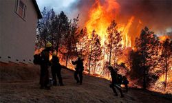ABD'de orman yangını yerleşim yerlerini tehdit ediyor!