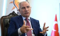 Efkan Ala: CHP'nin kazanma ihtimali artıyor!