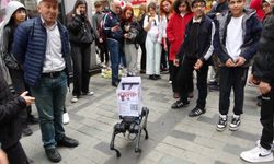 Robot Köpek Jidoka Dog Taksim'de ilgi odağı oldu