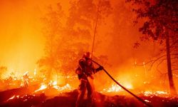 15 eyalette 58 orman yangını çıktı