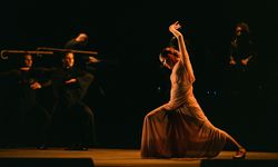 'İstanbul Dans Günleri' flamenko gösterisiyle başladı
