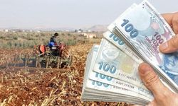 Çiftçilere müjde: 4,4 milyar lira hesaplarına yatıyor!