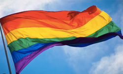 Eşcinselliği fiilen yasaklayan tasarı kabul edildi