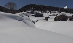 2 bin 350 rakımdaki karla kaplı köyde umutla baharı bekliyorlar