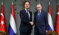 Türkiye, Hollanda Başbakanı Rutte'yi destekleyecek!