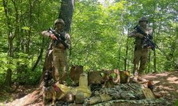 PKK'lılara ait patlayıcı ve yaşam malzemesi ele geçirildi!