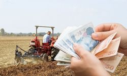 Tarımsal girdi fiyatları yüzde 49,93 arttı!