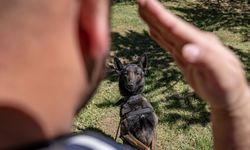 Jandarmanın narkotik köpekleri her an göreve hazır!