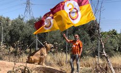 Diyarbakırlı taraftar, Galatasaray’ın şampiyonluğunu aslanlarıyla kutladı!