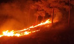 Mersin'de 10 dönümlük orman yandı!
