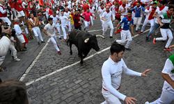 San Fermin Festivali başladı: Boğalar kovaladı, insanlar kaçtı!