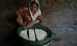 Göçerlerin yayla mesaisi başladı