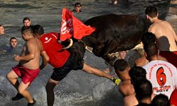 İspanya'nın meşhur ''Boğalar Denize'' Festivali