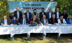 Diyarbakır Tarım Konseyi'nden anız uyarısı