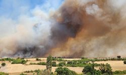 Balıkesir'de çıkan yangınla ilgili 3 gözaltı