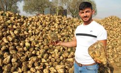 Şeker pancarı alım fiyatı belirlendi: İşte beklenen o rakam!