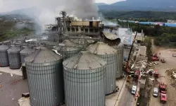 Sakarya’da fabrikadaki patlama anı kamerada