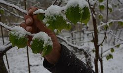 Meteorolojiden zirai don uyarısı!