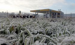 Doğu illeri donmaya başladı!