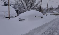 Tunceli'de kar esareti: 189 köy yolu ulaşıma kapandı