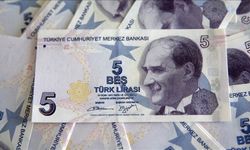 5 ve 50 TL'lik banknotlar tedavüle çıktı