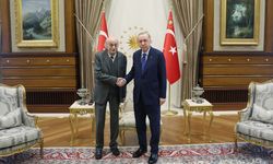 Cumhurbaşkanı Erdoğan Dürzi lideri kabul etti!