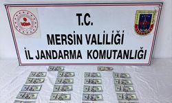 Kalpazan Mersin'de sahte dolarla yakalandı!