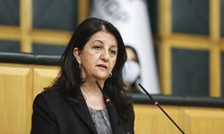 DEM Parti'den İmralı'ya yeni ziyaret