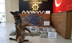 İki ilde 311 kilo uyuşturucu ele geçirildi!