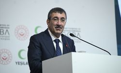 Cevdet Yılmaz: Ekonomimizin şoklara karşı direnci artmakta!
