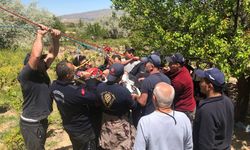 Sıcak hava balonu zorunlu iniş yaptı!