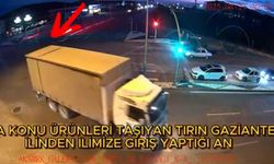 7 ton ceviz çaldı!